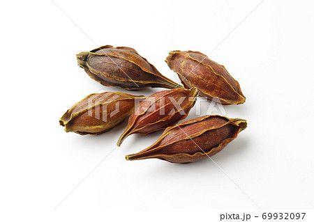 くちなしの実の写真素材