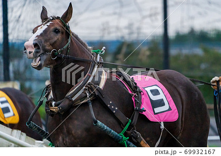 ナイターのばんえい競馬 イメージ 帯広競馬場 ナイターのばんえい競馬 イメージ 帯広競馬場 69932167