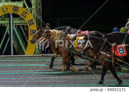 ナイターのばんえい競馬　イメージ　帯広競馬場　 69932171
