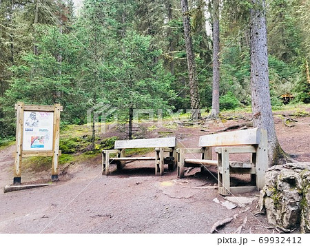 バンフ・森のベンチ バンフ・森のベンチ 69932412