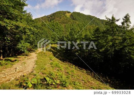 七ツ石山から小雲取山への登山道 七ツ石山から小雲取山への登山道 69933028