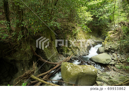 緑の森の谷間を流れる渓流 緑の森の谷間を流れる渓流 69933862