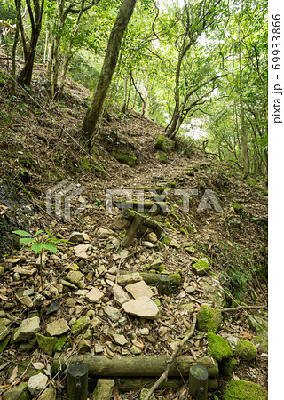 崩れかけている森の中の山道 崩れかけている森の中の山道 69933866