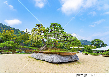 【静岡県】熱海 アカオハーブ&ローズガーデン内の日本庭園 【静岡県】熱海 アカオハーブ&ローズガーデン内の日本庭園 69933998