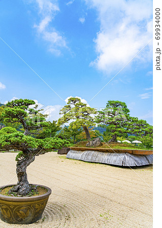 【静岡県】熱海　アカオハーブ＆ローズガーデン内の日本庭園 69934000