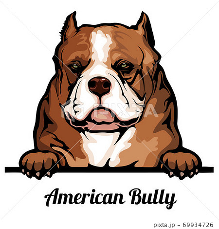 american bully logos