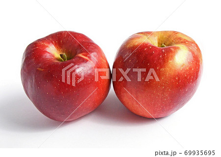 りんご（すわっこ） 69935695