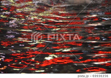 照明が映った池(池袋西口広場/東京都豊島区西池袋) 照明が映った池(池袋西口広場/東京都豊島区西池袋) 69936356