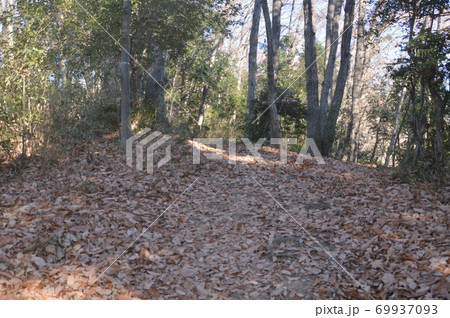 冬枯れの山道（鐘撞堂山／埼玉県深谷市） 69937093