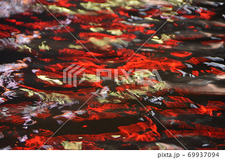 赤い照明が反射した水面（池袋西口広場／東京都豊島区西池袋） 69937094