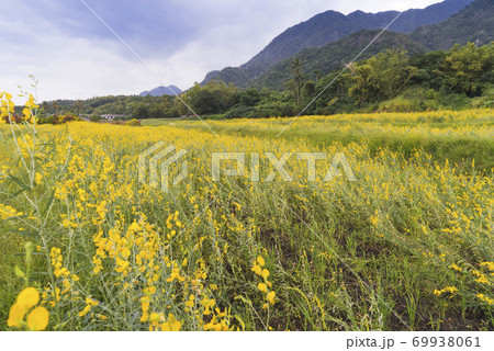 景色 風景 台湾 69938061