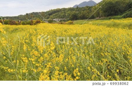 景色 風景 台湾 69938062