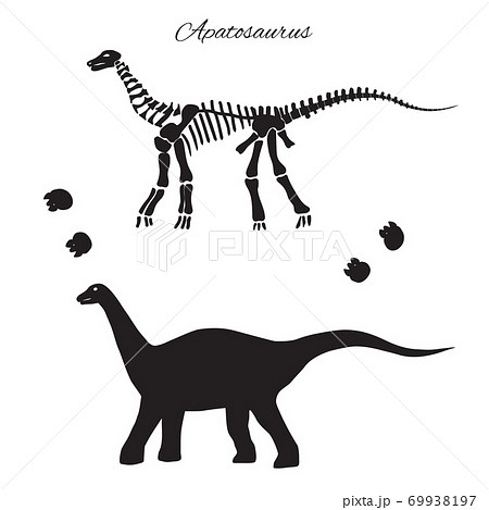 Apatosaurus Silhouette Footprints And Skeletonのイラスト素材