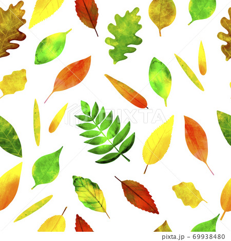 Seamless pattern colorful autumn leaves on white Seamless pattern colorful autumn leaves on white 69938480