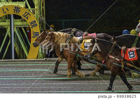 ナイターのばんえい競馬　イメージ　帯広競馬場　 69938625