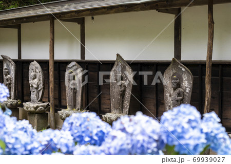 【山梨県】初夏の海岸寺　守屋貞治の百体観音とアジサイの花 69939027
