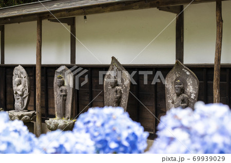 【山梨県】初夏の海岸寺 守屋貞治の百体観音とアジサイの花 【山梨県】初夏の海岸寺 守屋貞治の百体観音とアジサイの花 69939029