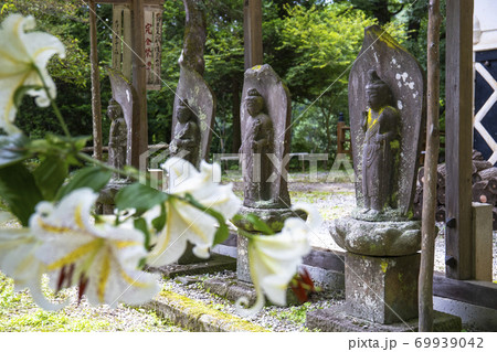 【山梨県】初夏の海岸寺境内 守屋貞治の百体観音とヤマユリの花 【山梨県】初夏の海岸寺境内 守屋貞治の百体観音とヤマユリの花 69939042
