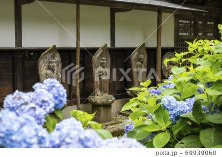 【山梨県】初夏の海岸寺 守屋貞治の百体観音とアジサイの花 【山梨県】初夏の海岸寺 守屋貞治の百体観音とアジサイの花 69939060
