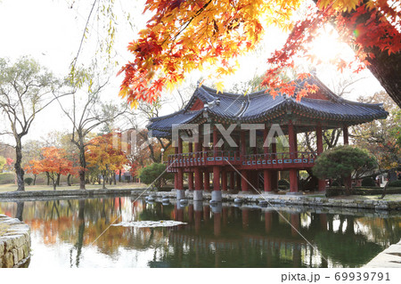 池 紅葉 カエデ 69939791
