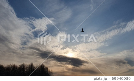 雲 空 自然 69940080