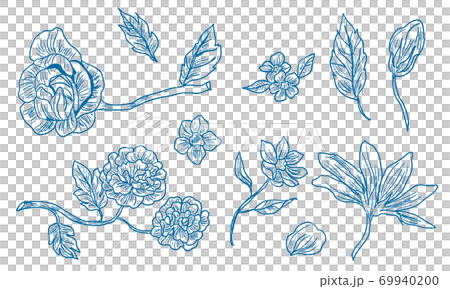 flower, flowers, botanic 69940200