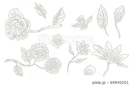 Hand painted plant line drawing background Hand painted plant line drawing background 69940201