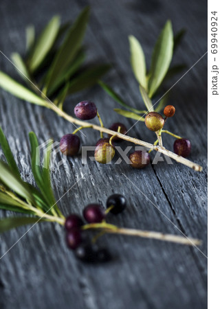 ripe arbequina olives from Catalonia, Spain ripe arbequina olives from Catalonia, Spain 69940924