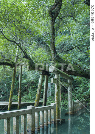 鹿島神宮 御手洗池 鹿島神宮 御手洗池 69940970