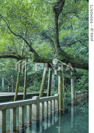 鹿島神宮　御手洗池 69940975