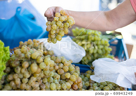 Woman choosing bunch fresh green grape to buy in market 69943249