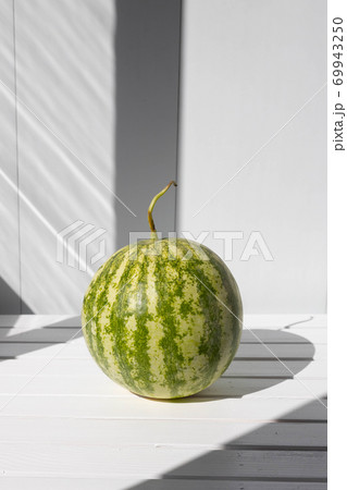Large striped green watermelon on a white table with hard shadows. Creative art composition 69943250