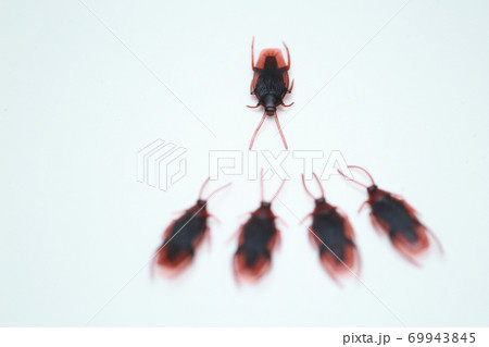 ゴキブリ(おもちゃ)達のミーティング 69943845