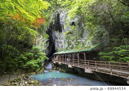 山口県 美祢市 秋芳洞 鍾乳洞 洞窟 川 入口の写真素材 [69944534] - PIXTA