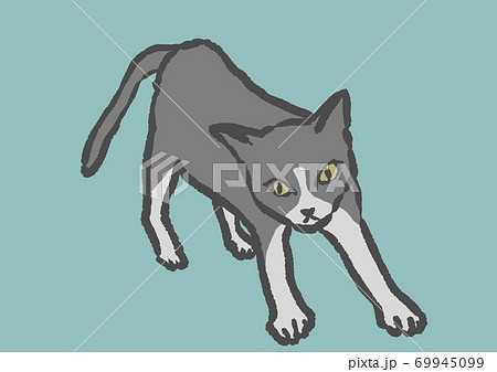 手を伸ばしてリラックスしている猫の手描きイラストのイラスト素材