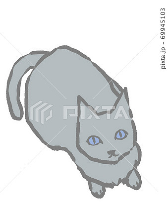 上を見上げる猫の手描きイラスト(白バック)のイラスト素材 [69945103
