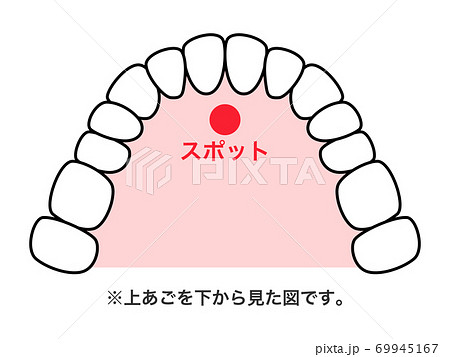 舌スポット 図解のイラスト素材