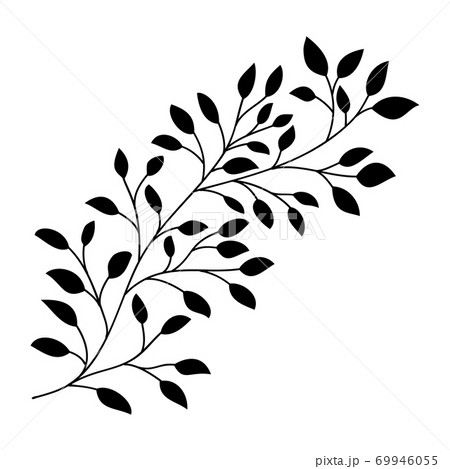Hand drawn leaves and branch isolated silhouette on white. Doodle birch leaves for design. Vector illustration. Botanical print. Organic natural shape. Isolated birch branch. Hand drawn leaves and branch isolated silhouette on white. Doodle birch leaves for design. Vector illustration. Botanical print. Organic natural shape. Isolated birch branch. 69946055