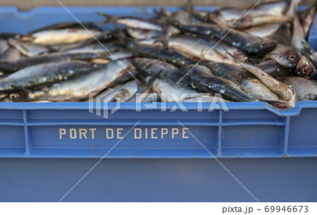 Raw herring in a box on the market Raw herring in a box on the market 69946673