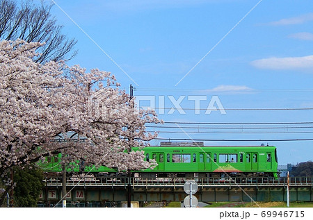 橋を渡る京王線8000系 69946715