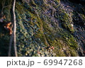 東京都世田谷区等々力 69947268