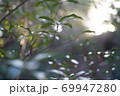 東京都世田谷区等々力 69947280