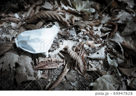 Used surgical mask lying on dry leaves in the field Used surgical mask lying on dry leaves in the field 69947628