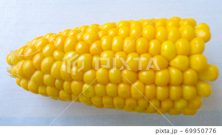 Homemade golden sweet corn cob ready to eat on the white table. Boiled yellow sweet corn cobs on white background Homemade golden sweet corn cob ready to eat on the white table. Boiled yellow sweet corn cobs on white background 69950776