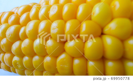 Homemade golden sweet corn cob ready to eat on the white table. Boiled yellow sweet corn cobs on white background Homemade golden sweet corn cob ready to eat on the white table. Boiled yellow sweet corn cobs on white background 69950778