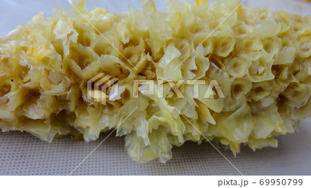 Homemade golden sweet corn cob ready to eat on the white table. Boiled yellow sweet corn cobs on white background 69950799