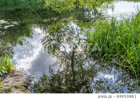 Beautiful river floating through a lush, green area. Reflections from trees 69950861