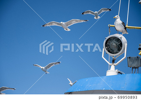 Seagulls on a fishing boat. Background with a blue sky Seagulls on a fishing boat. Background with a blue sky 69950893