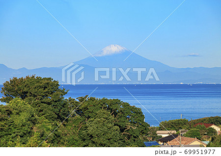 湘南三浦半島の名産大根畑の秋(初冠雪の富士山付き) 湘南三浦半島の名産大根畑の秋(初冠雪の富士山付き) 69951977