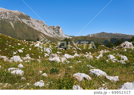 alpine meadow with white boulders, behind which the mountain ranges are visible alpine meadow with white boulders, behind which the mountain ranges are visible 69952317